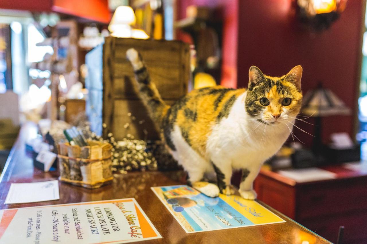 The Common Man Inn, Spa & Lodge Plymouth Bagian luar foto